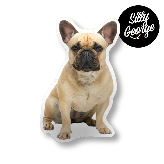 Silly George Gift Voucher