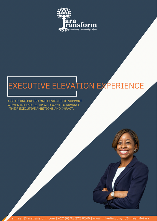 Executive Elevation Experience Coaching Programme